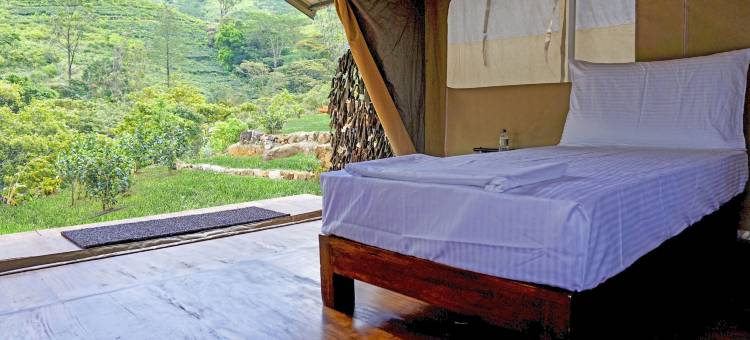 野生露营纳克尔斯(Wild Glamping Knuckles - Thema Collection)图片