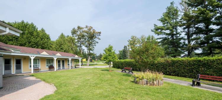 骑士酒店-布雷斯桥(Knights Inn Bracebridge)图片