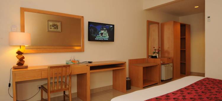 迪米卡塞拉宇酒店(Serayu Hotel Timika)图片