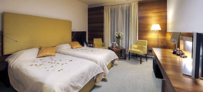 水城山景酒店(Hotel AquaCity Mountain View)图片