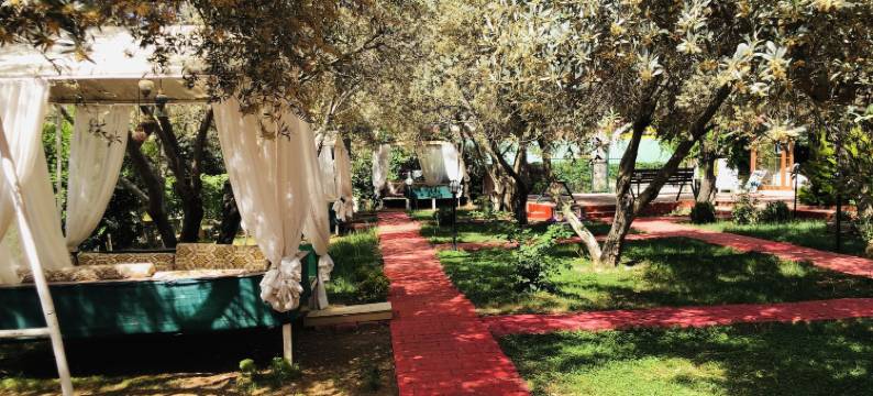 多嘉酒店(Doga Hotel)图片