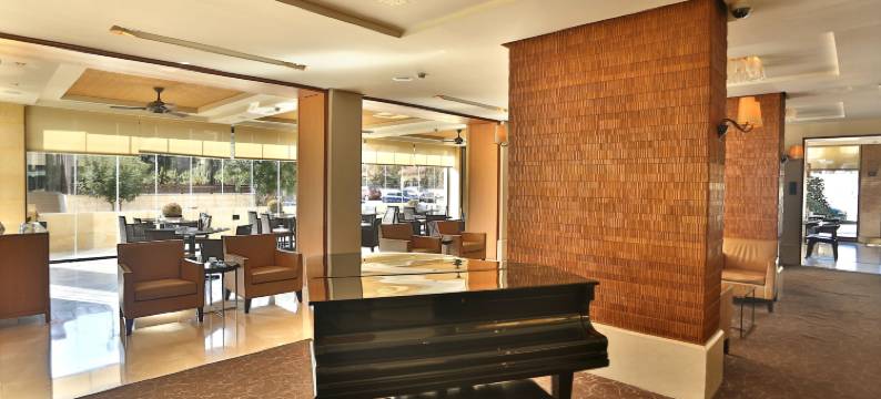 艾尔卡大都会酒店(AlQasr Metropole Hotel)图片