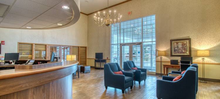 舒适酒店(Comfort Inn)图片