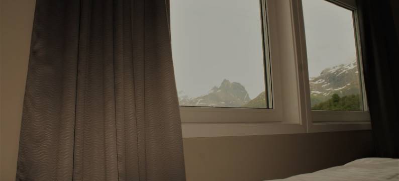 Frich's快捷酒店(Frich´s Express Hotel)图片