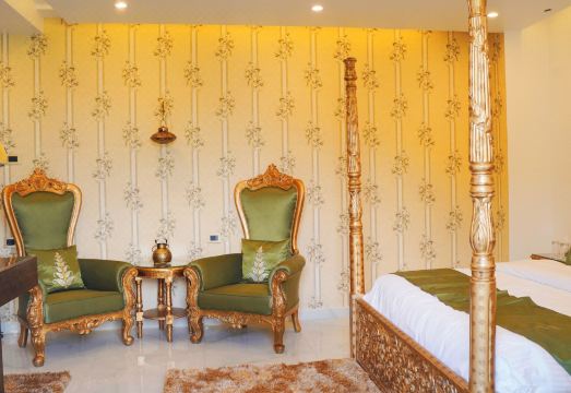 Hotel Saheb's Castle McLeodganj Hotel Overview