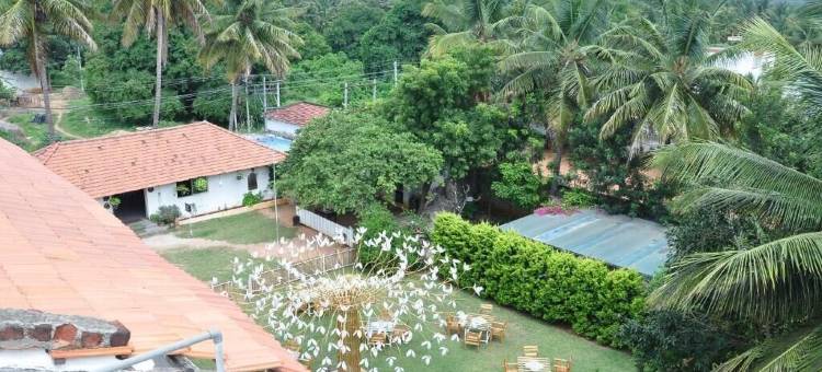 种子度假村(Seed Resort)图片