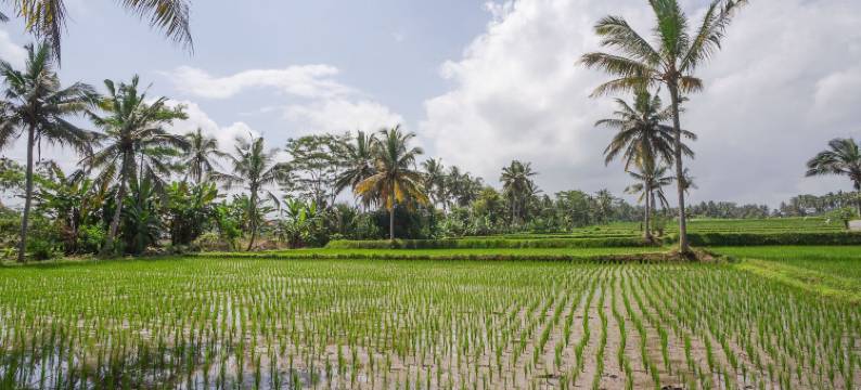 阿贡卡利亚别墅(Villa Agung Khalia Ubud)图片