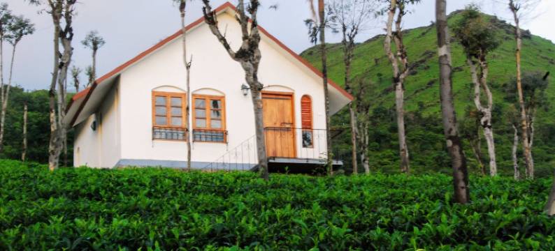 茶台韦提瑞度假村(Tea Terrace Vythiri Resort)图片