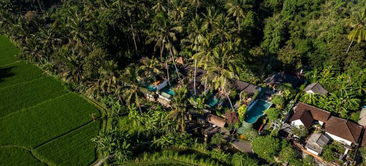 乌布帕蒂别墅酒店(Ubud Padi Villas)图片