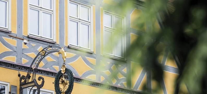 HOTEL & SPA 金玫瑰(Hotel & Spa Goldene Rose)图片