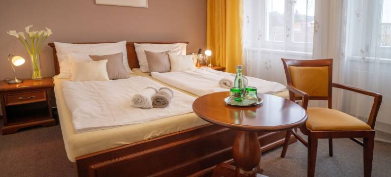 拿普利茨基酒店(Hotel U Kaplicky)图片