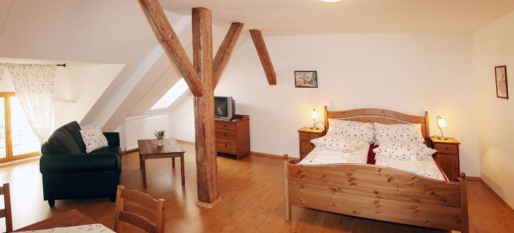 乔德斯凯霍赫拉杜膳食公寓酒店(Penzion U Chodskeho Hradu)图片