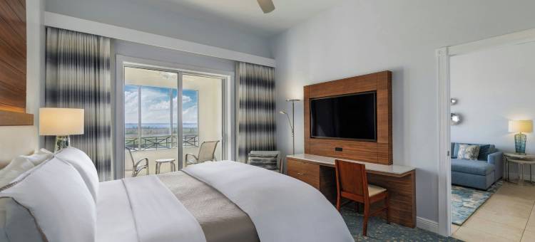 珊瑚角度假滨海村威斯汀酒店(The Westin Cape Coral Resort at Marina Village)图片