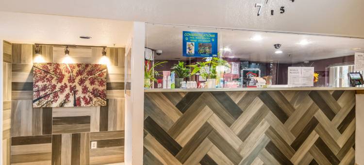 罗切斯特-机场红屋顶酒店(Red Roof Inn Rochester - Airport)图片