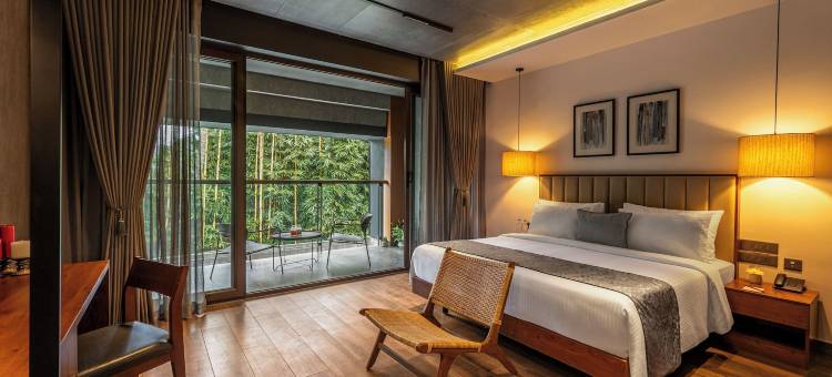 斯特灵阿蒂拉皮里(Sterling Athirappilly)图片