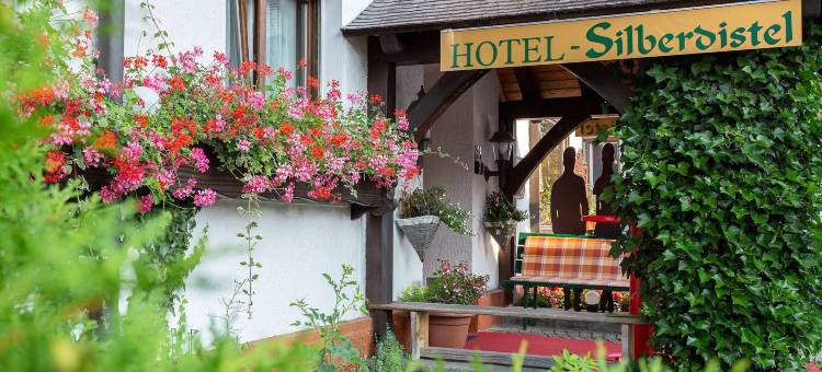 斯尔博迪斯特尔酒店(Hotel Silberdistel)图片