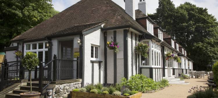 巴克法斯特达塔布瑞旅馆 - 格林国王旅馆(Dartbridge Inn by Greene King Inns)图片