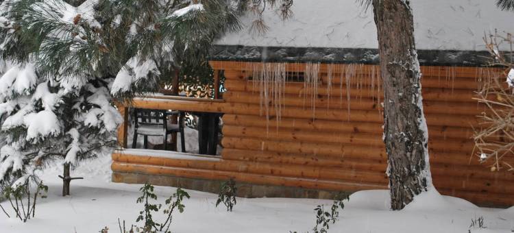 埃尔基派启奥塔卡综合酒店(Kompleks Otdykha Elki-Palki)图片