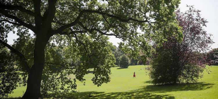 马车房酒店(The Coach House)图片