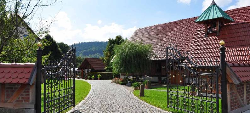 祖尔佩尔德特兰克乡村酒店(Landhotel Zur Pferdetränke)图片