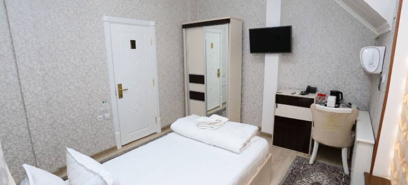 Saroy宫殿酒店(Saroy Palace Hotel)图片