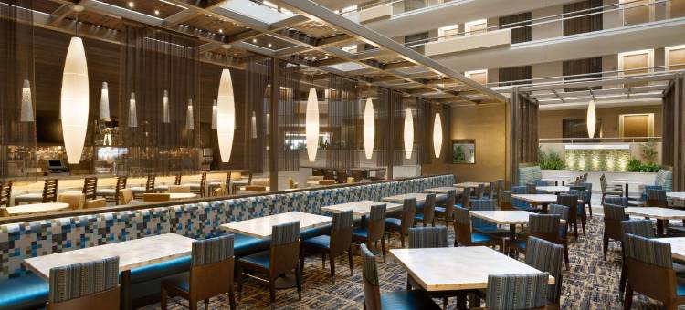 圣安东尼奥国际机场希尔顿安泊酒店(Embassy Suites by Hilton San Antonio Airport)图片