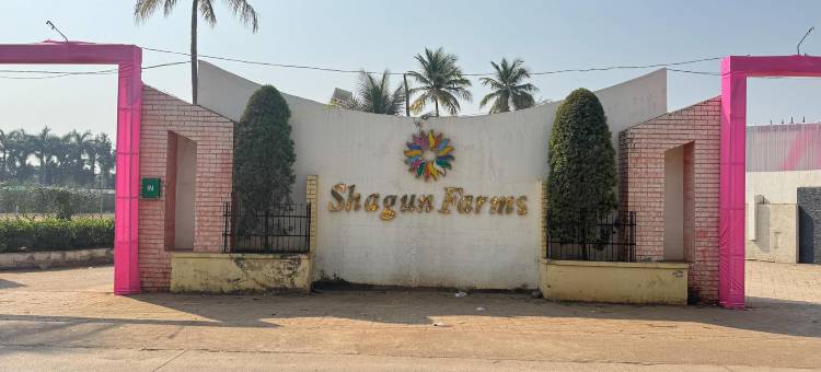 夏贡农场酒店赖布尔(Hotel Shagun Farm)图片