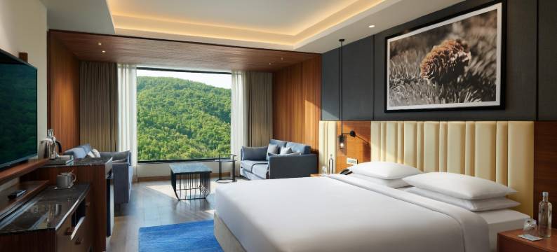 凯悦酒店德拉顿度假村和水疗中心(Hyatt Regency Dehradun Resort and Spa)图片