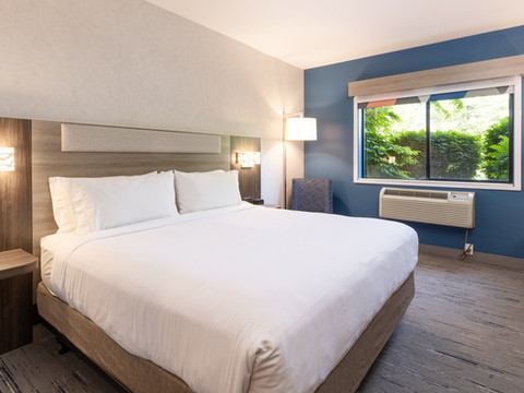 普莱曾特普雷里- 肯诺夏智选假日酒店及套房