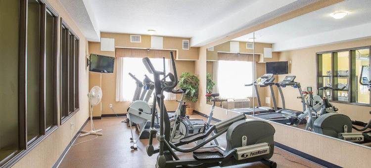 舒适酒店及套房- 艾尔德里(Comfort Inn & Suites)图片