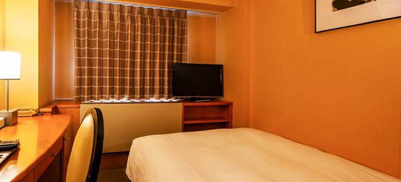 东京钻石酒店(Diamond Hotel Tokyo)图片