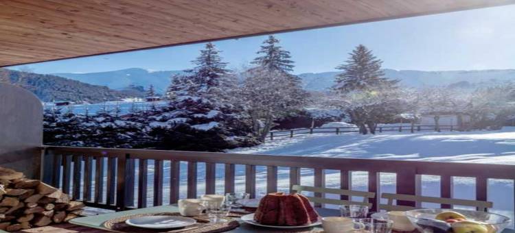 Modern 2 bedroom apartment, close to ski lifts图片