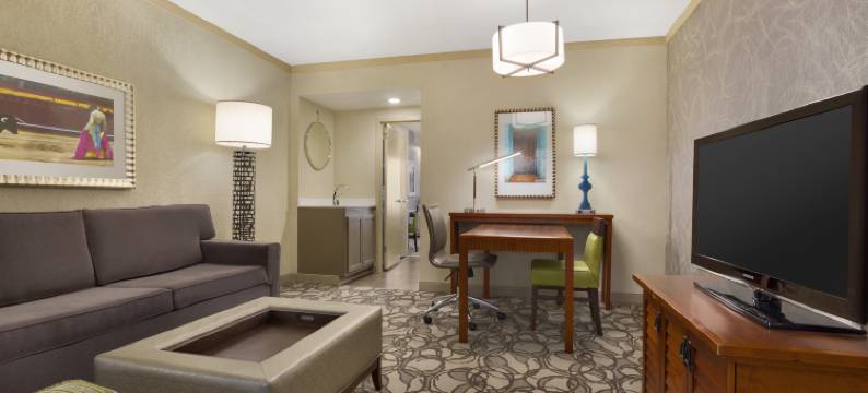 圣安东尼奥国际机场希尔顿安泊酒店(Embassy Suites by Hilton San Antonio Airport)图片