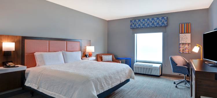 克利尔沃特圣彼得堡乌尔默顿路欢朋套房酒店(Hampton Inn & Suites Clearwater/St. Petersburg-Ulmerton Rd)图片