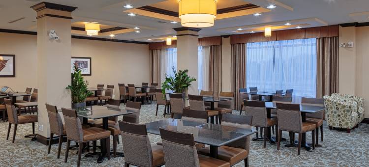 智选假日套房酒店新奥尔良西南(Holiday Inn Express & Suites Ottawa East - Orleans)图片