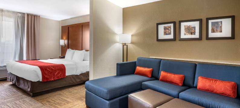 舒适套房酒店-乌尔班纳香槟大学城(Comfort Suites Urbana Champaign, University Area)图片