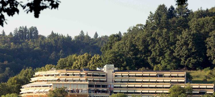 弗赖堡全景美居酒店(Mercure Hotel Panorama Freiburg)图片