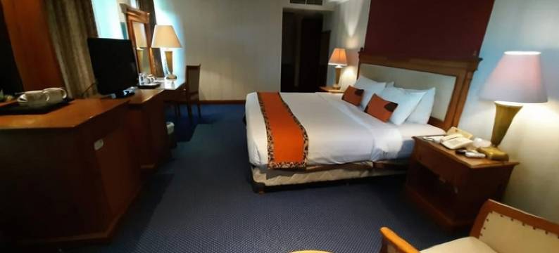 大埃尔蒂酒店(Grand Elty Singgasana Tenggarong)图片