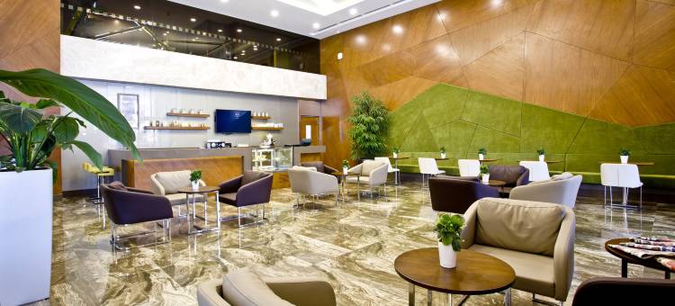 加济安泰普假日酒店(Holiday Inn Gaziantep - Sehitkamil)图片