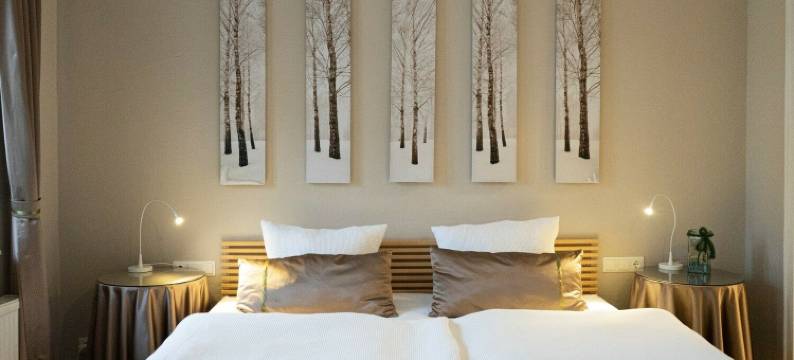 莱因经典酒店(Rein Klassik Hotel)图片