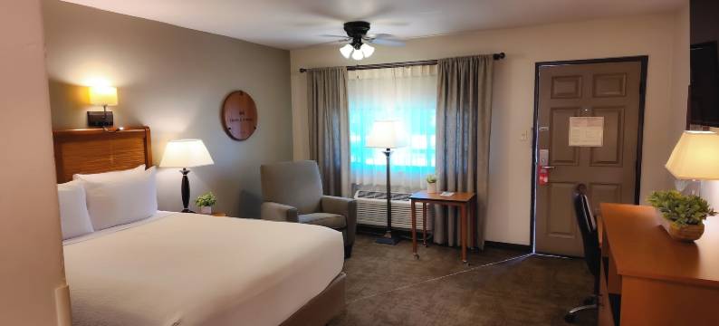 阿德莱德旅馆(Adelaide Inn)图片