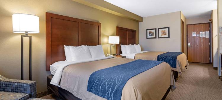 铁山北部的舒适酒店(Comfort Inn)图片