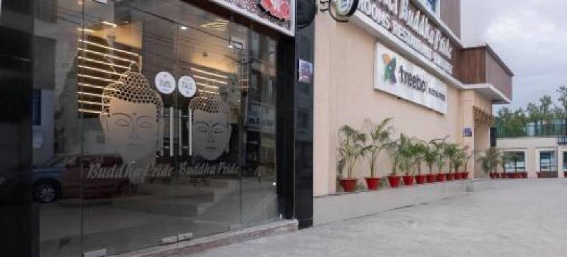 Treebo 佛陀骄傲酒店(Treebo Buddha Pride)图片