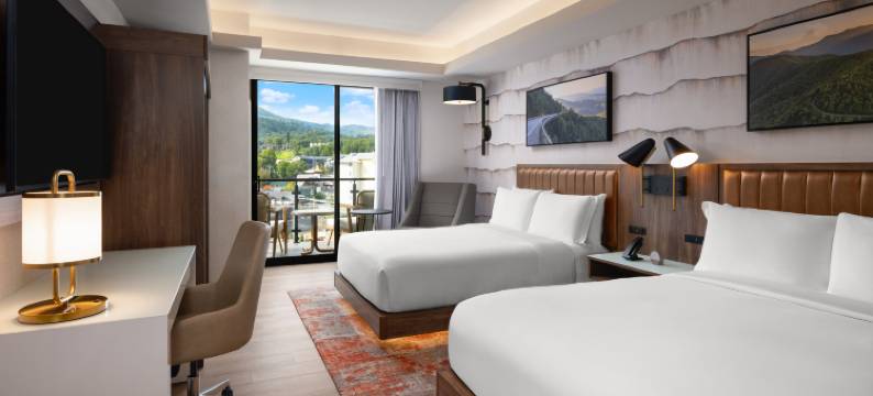 加德林堡市中心英迪格酒店(洲际酒店集团)(Hotel Indigo Gatlinburg Downtown by IHG)图片