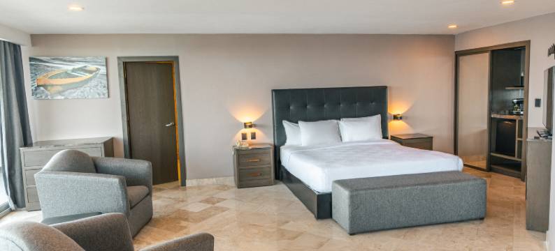 希尔顿花园酒店-博卡德尔里奥(Hilton Garden Inn Boca del Rio, Veracruz)图片