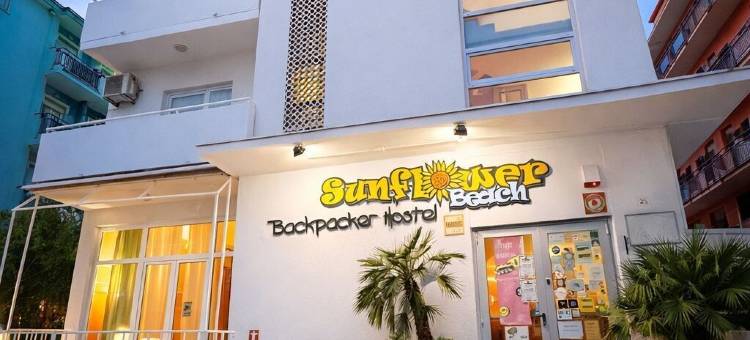 向日葵海滩背包客青年旅馆和酒吧(Sunflower Beach Backpacker Hostel & Bar)图片