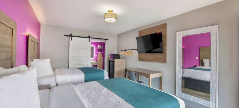 阿拉巴马 - 大学塔斯卡卢萨 6 号汽车旅馆酒店(Motel 6 Tuscaloosa, Al – University)图片