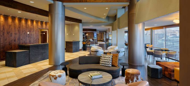 帕克梅多斯南丹佛万豪酒店(Denver Marriott South at Park Meadows)图片