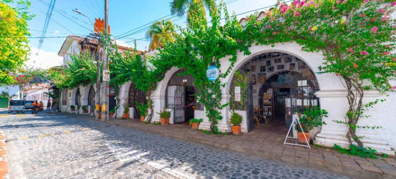 罗夫莱多元帅酒店(Hotel Mariscal Robledo)图片