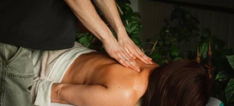 汉萨尔酒店(Hämsa Maheresto & Heaolukeskus)图片